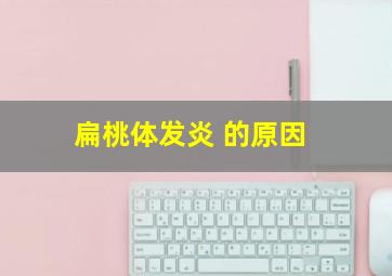 扁桃体发炎 的原因